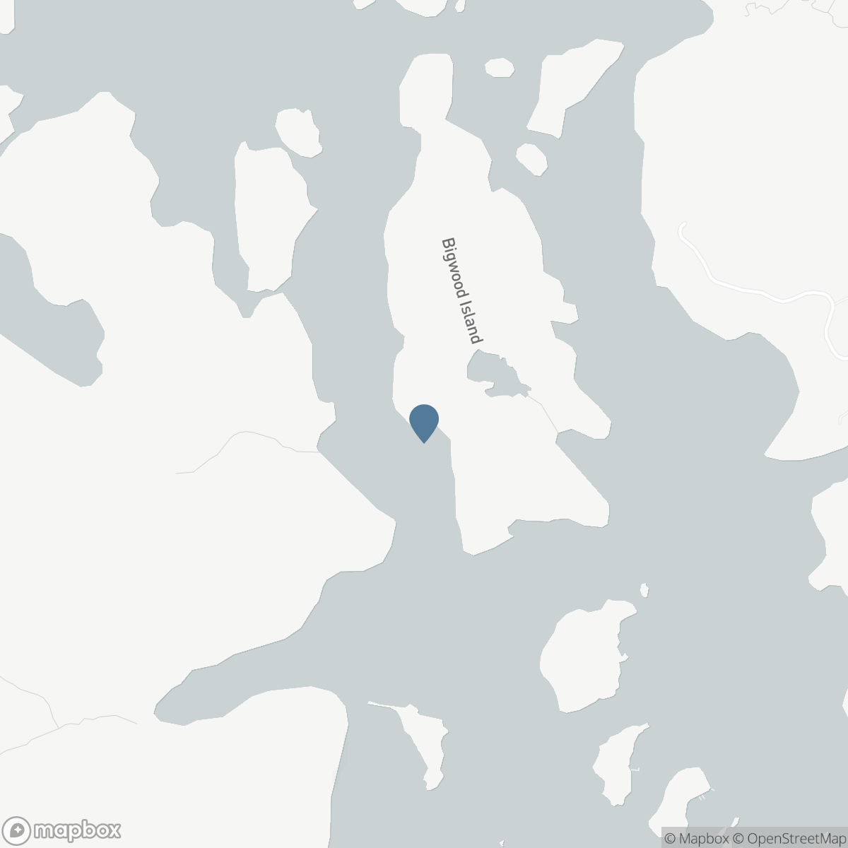 32 A11 ISLAND, Pointe au Baril, Ontario P0G 1K0